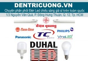 Đèn led trí cương