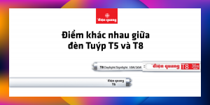 điểm khác nhau giữa T5 và T8 điện quang