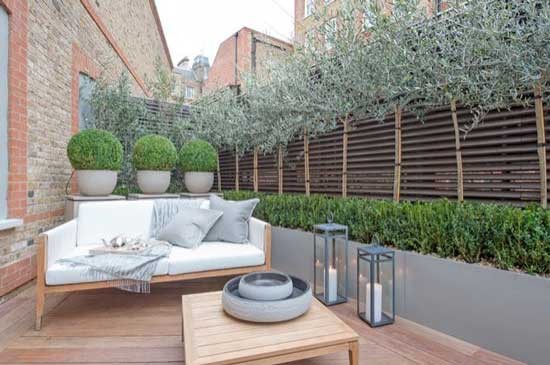 tạo ảo giác về cấp độ