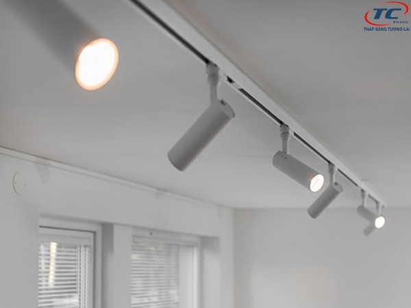 Đèn Spotlight rọi ray