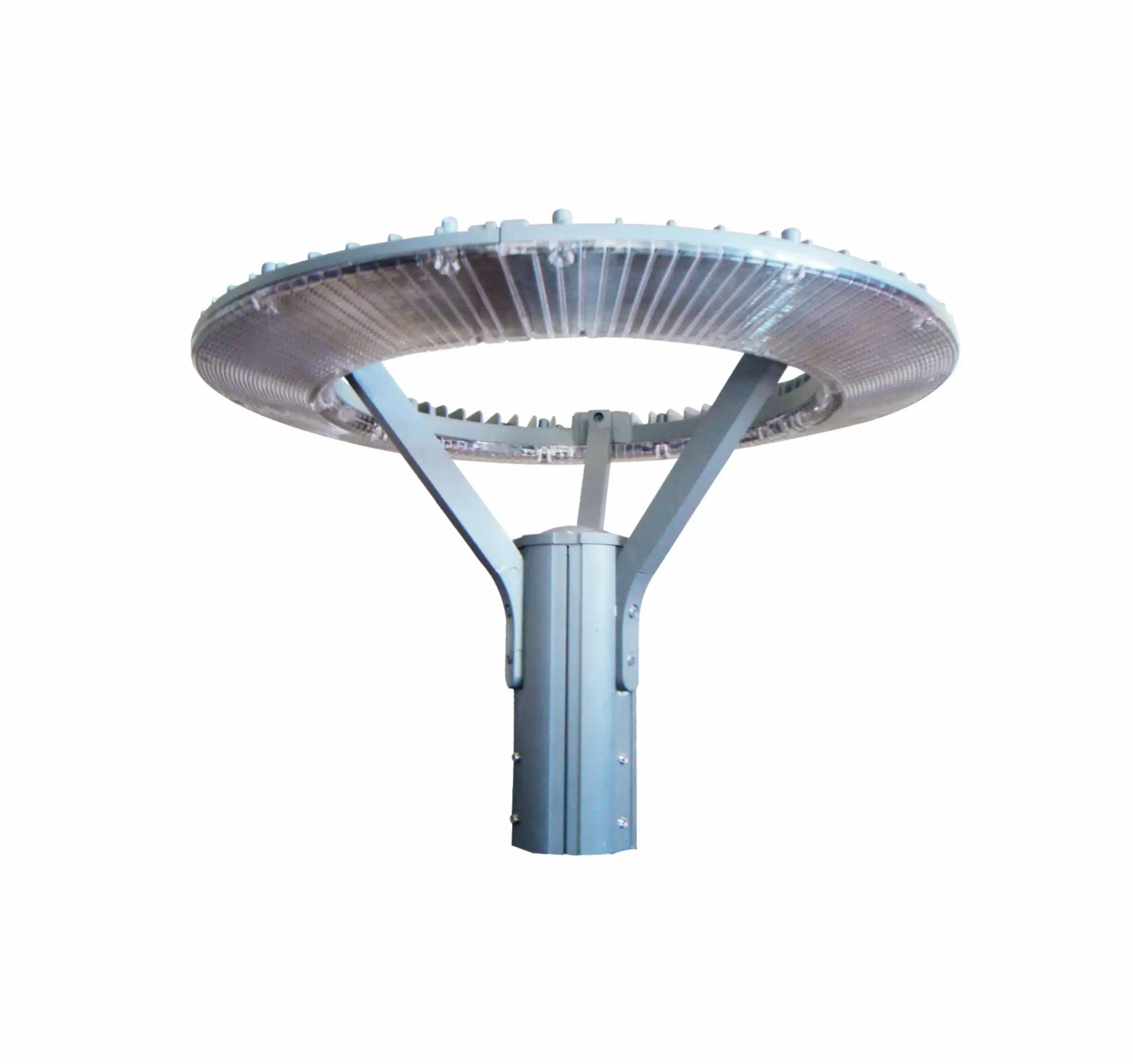 Doa006-5406-scaled-1